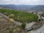 Quinta T6 com vistas para o rio Douro em São João da...