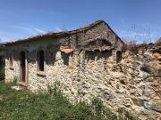 Quinta T6 em Chãos de 650,00 m²