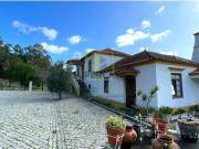 Quinta T7 Venda em Válega,Ovar