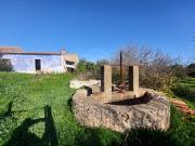 Quinta, Silves, Alcantarilha e Pêra, Algarve 409m²...