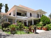 Quinta Tradicional com Moradia T6, piscina e Magníficos...