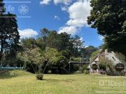 Quinta única en venta en Abasto de 9000 mts con arboleda...