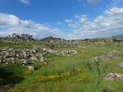 Quinta Venda em Abrunhosa a Velha,Mangualde