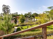 Quinta Venda em Almagreira,Pombal