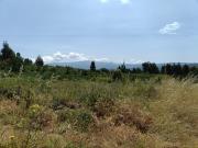 Quinta Venda em Lagares,Oliveira do Hospital