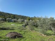 Quinta Venda em Sandomil,Seia