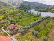Quinta vinícola com Acesso Privado ao Rio Douro