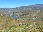 Quinta Vinícola Histórica no Douro para venda com vista...