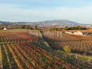 Quinta vitivinicola centenária com 34,5 hectares em...