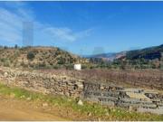 Quinta Vitivinícola de 5 Hectares Douro Superior