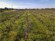 Quinta/Brejos do Assa/Palmela