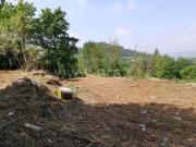 Quinta/Herdade, Garfe, Póvoa de Lanhoso | BPI Expresso...