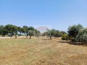 Quinta/Herdade T3, Grândola e Santa Margarida Da Serra,...