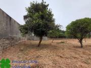 Quinta/Herdade Não se apl, Nogueira e Silva Escura, Maia...