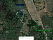 Quinta/Herdade, Santo André Das Tojeiras, Castelo Branco...