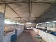 Quinta/Herdade T0, Albernoa e Trindade, Beja | BPI...