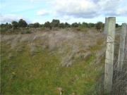 Quinta/Herdade T0, Idanha A Nova e Alcafozes, Idanha a...