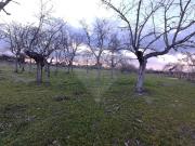 Quinta/Herdade T0, Nave de Haver, Almeida | BPI Expresso...