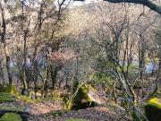 Quinta/Herdade T0, Silgueiros, Viseu | BPI Expresso...