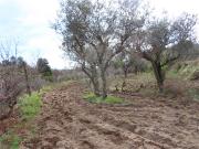 Quinta/Herdade T0, Póvoa de Atalaia e Atalaia Do Campo,...