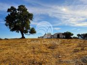 Quinta/Herdade T1, Ameixial Santa Vitória e São Bento,...