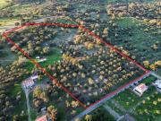 Quinta/Herdade T2, Abela, Santiago do Cacém | BPI...