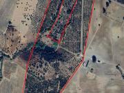 Quinta/Herdade T2, Selmes, Vidigueira | BPI Expresso...