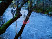 Quinta/Herdade T3, Alcains, Castelo Branco | BPI...