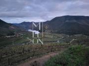 Quinta/Herdade T3, Seixo de Ansiães, Carrazeda de...