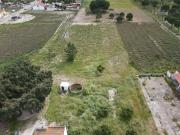 Quinta/Herdade T4, Torrão, Alcácer do Sal | BPI Expresso...