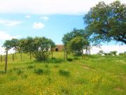 Quinta/Herdade T4, Vila Nova de São Bento e Vale de...