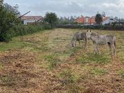 Quinta/Herdade T5, Grijó e Sermonde, Vila Nova de Gaia |...