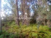 Quinta/Herdade T5, Oleiros Amieira, Oleiros | BPI...