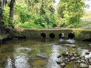 Quintas Agrícolas Rancho Marianita