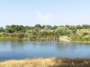 Quintas e casas rústicas em Alagoa