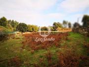 Quintas e casas rústicas em Antas e Abade de Vermoim