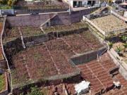 Terreno deslumbrante em Câmara de Lobos