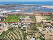 Quintas e casas rústicas T6 em Tavira Santa Maria e Santiago