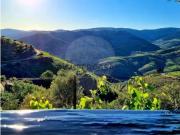 Quintas e casas rústicas em Valença do Douro