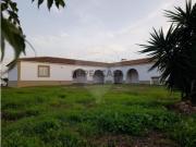 Quintas e casas rústicas em Albernoa e Trindade