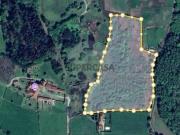 Quintas e casas rústicas T0 em Arca e Ponte de Lima