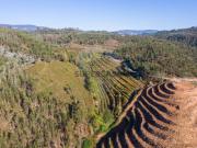 Quintas e casas rústicas em Arnoia