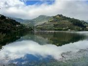 Quintas e casas rústicas T0 em Barqueiros