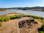 Quintas e casas rústicas T0 em Bensafrim e Barão de São João