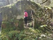 Quintas e casas rústicas T0 em Rio Frio