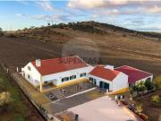 Quintas e casas rústicas T0 em Terena São Pedro