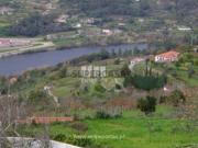 Quintas e casas rústicas T1 em Espadanedo