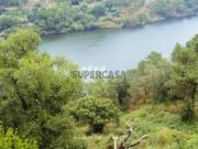 Quintas e casas rústicas T1 em Oliveira