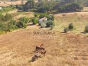 Quintas e casas rústicas T2 em Cercal