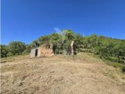 Quintas e casas rústicas T2 em Grândola e Santa...